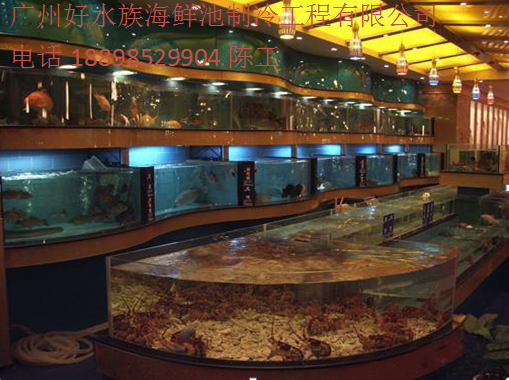 海珠前進(jìn)路土建酒店海鮮池訂做價(jià)格