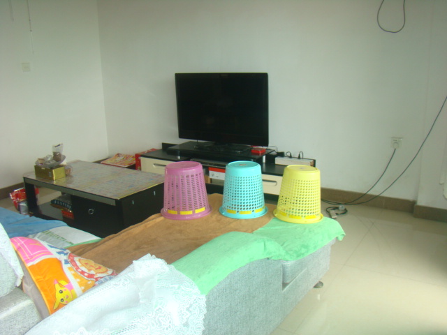 落地系列（大號.小號） 蒼蠅甕--標(biāo)準(zhǔn)專業(yè)版（落地系列）