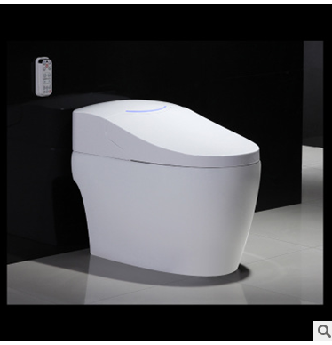 遙控一體式坐便器 遙控一體式坐便器供應(yīng)商 遙控一體式坐便器批發(fā) 遙控一體式坐便器廠(chǎng)家