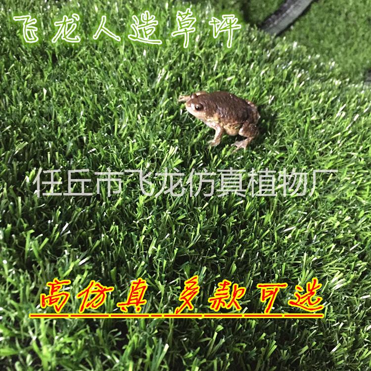 人造草坪 幼兒園地毯 幼兒園地毯草坪