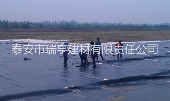 防滲膜廠家 防滲膜廠家供應(yīng) 防滲膜廠家批發(fā) 防滲膜廠家直銷(xiāo)