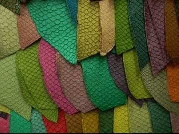 加工魚皮 加工魚皮原料 A級草魚皮