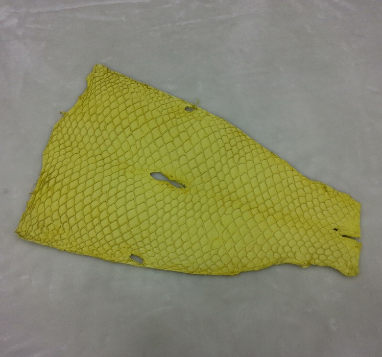 加工魚皮 加工魚皮原料 A級草魚皮