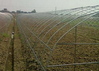 吉安連體大棚鋼管 鍍鋅圓管蔬菜棚鋼管 大棚鋼管骨架  鍍鋅管 蔬菜大棚