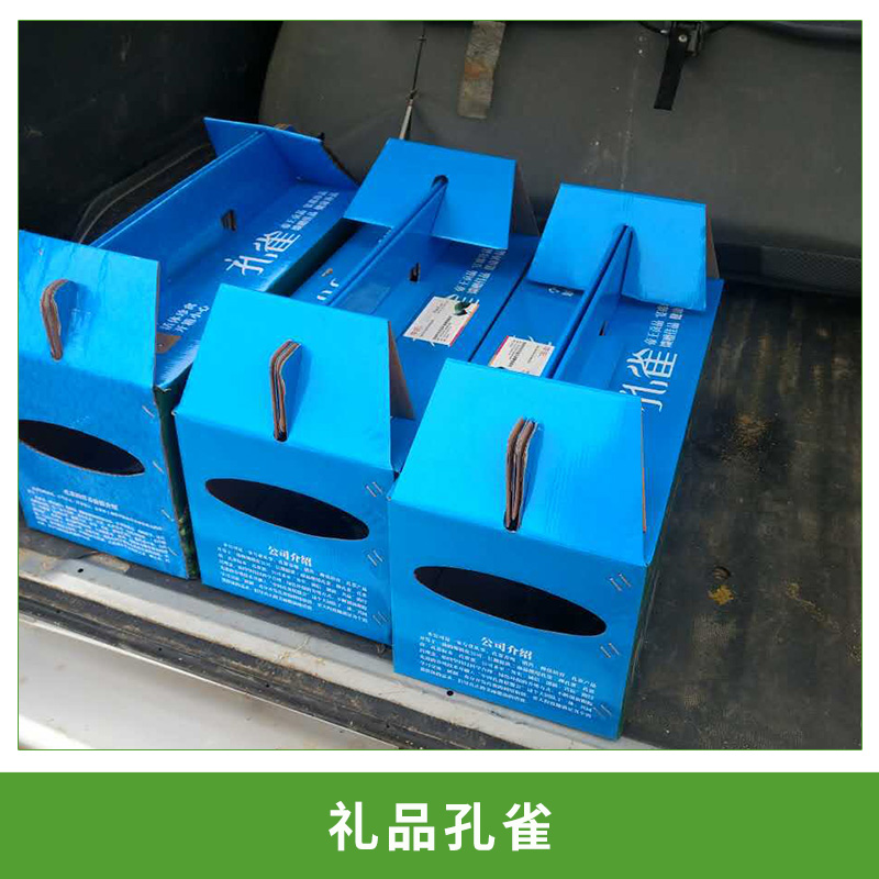 農(nóng)場(chǎng)直銷(xiāo)活體*；禮品*盒，江浙滬地區(qū)免費(fèi)發(fā)貨