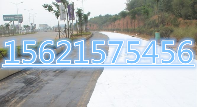 《延安@無紡土工布全國質(zhì)優(yōu)價廉15621575456} 養(yǎng)護土工布