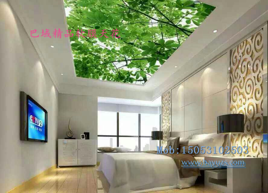 巴域軟膜天花系列* 軟膜天吊頂