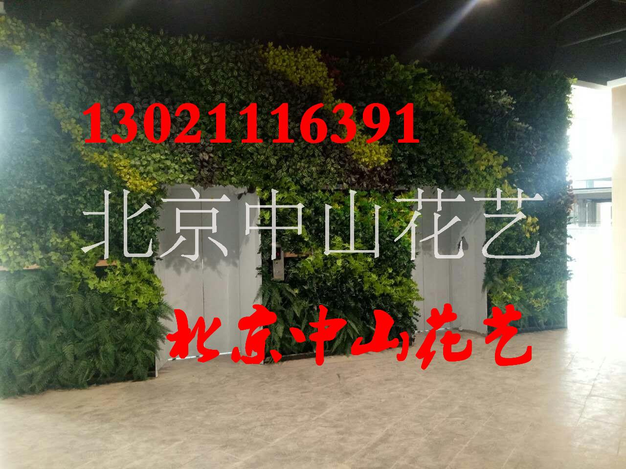 北京仿真植物墻定做室內(nèi)植物墻墻體 立體墻仿真植物墻仿真花墻戶外墻面 墻面裝飾商務(wù)辦公樓裝飾設(shè)計(jì)家裝仿