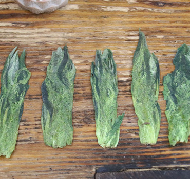猴魁 明前特級(jí)綠茶散裝500g 雨前茶葉批發(fā) 2017新茶