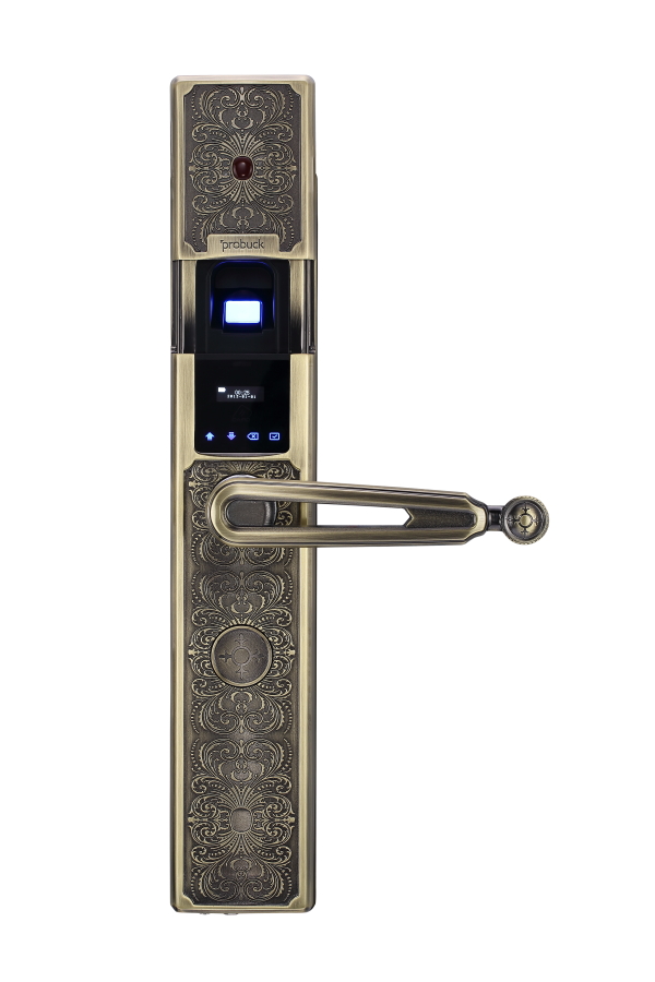 揚州西奧--儀征指紋鎖電子鎖密碼鎖刷卡鎖