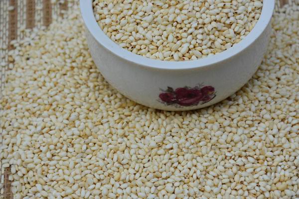 烘焙薏米  熟薏米 現(xiàn)磨薏米豆?jié){供應(yīng)商 熟薏米廠價供應(yīng)批發(fā)7.4