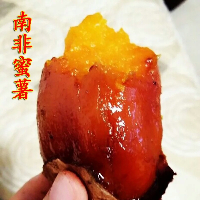 山東煙薯25蜜薯批發(fā)供應(yīng)基地、煙薯25供應(yīng)基地