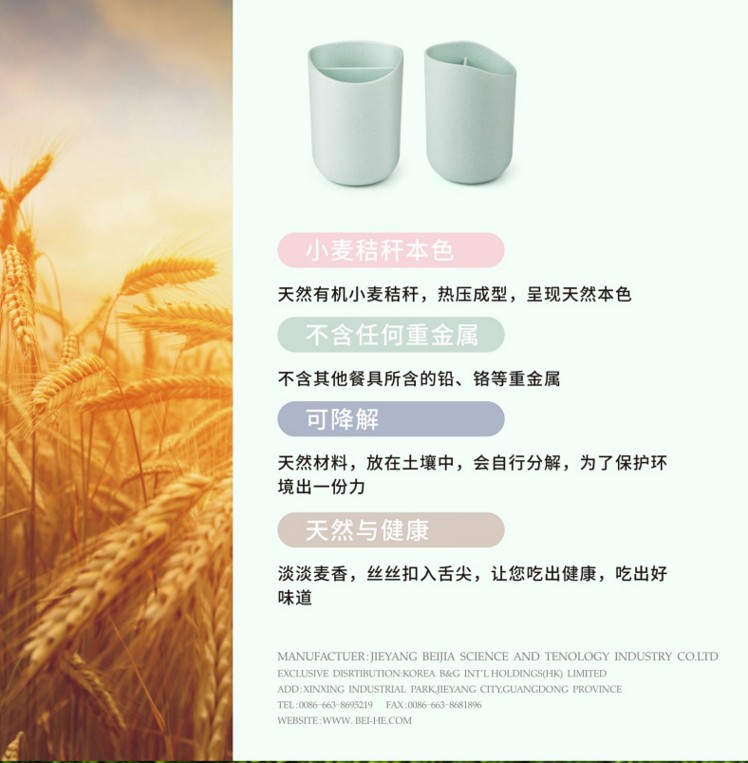 貝合小麥創(chuàng)意日式泡茶過濾杯茶具隨手杯品茗杯花茶杯功夫杯 貝合花茶杯功夫杯