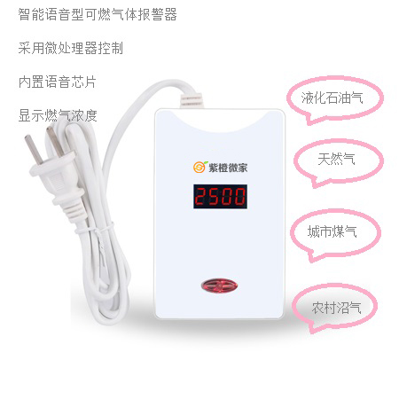 ZC-RQ916燃氣泄漏探測器_煤氣泄漏探測器_天然氣泄漏探測器