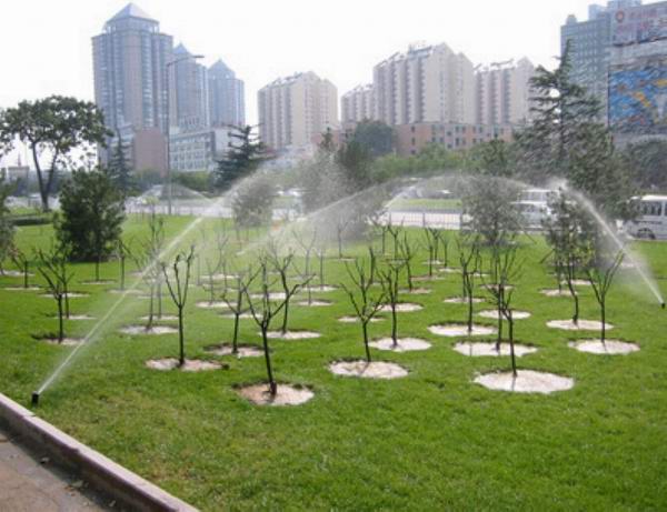 廠家直銷各種規(guī)格 園林綠化噴頭