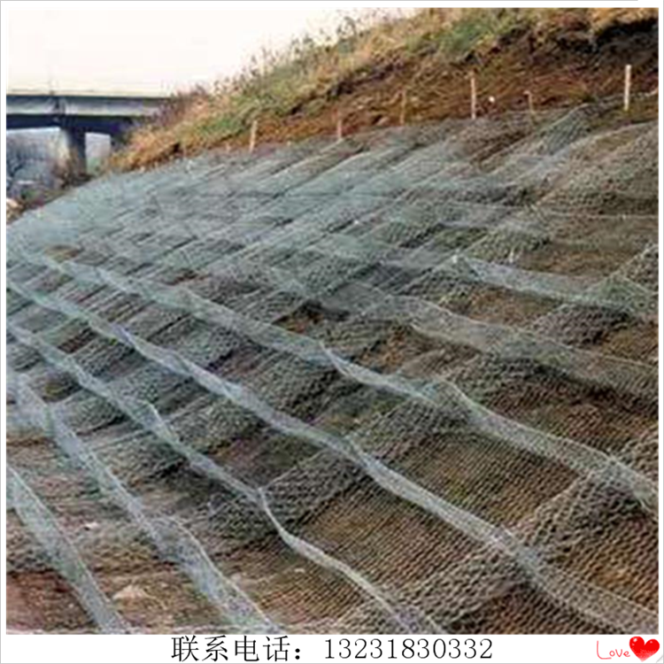 護(hù)岸護(hù)坡小能手安平縣固濱籠