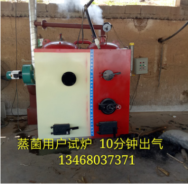 全自動燃煤數(shù)控供暖鍋爐廠價批發(fā)供應 數(shù)控環(huán)保鍋爐 常壓鍋爐 飲水鍋爐 山東泰安飲水鍋爐廠