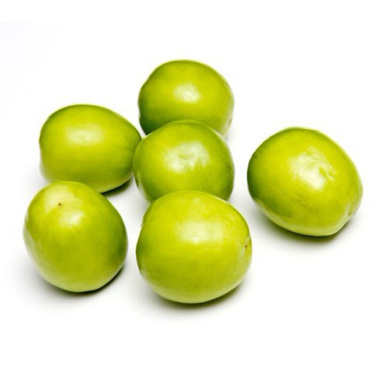 牛奶棗 哪里有牛奶棗苗賣 牛奶棗價(jià)格