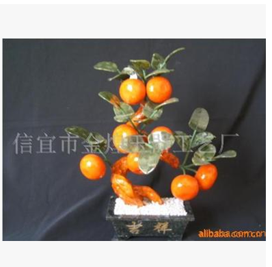 小八桔子 盤景 小八桔子廠家 盤景批發(fā) 小八桔子