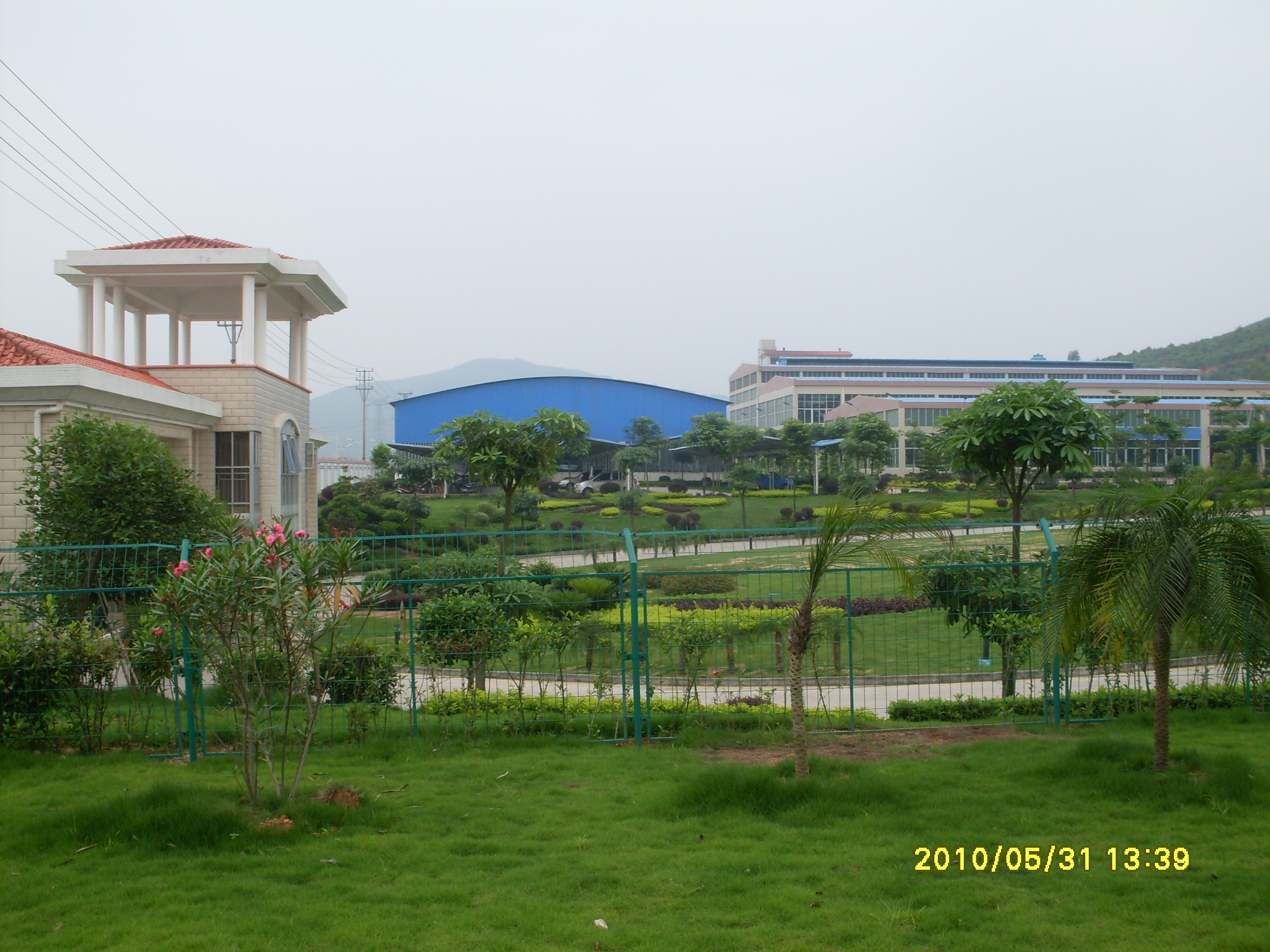 風(fēng)景園林 觀賞園藝  草皮鋪植  工廠鋪草 草坪種植 草坪養(yǎng)護(hù) 園林草坪 種草皮 草皮養(yǎng)護(hù)管理