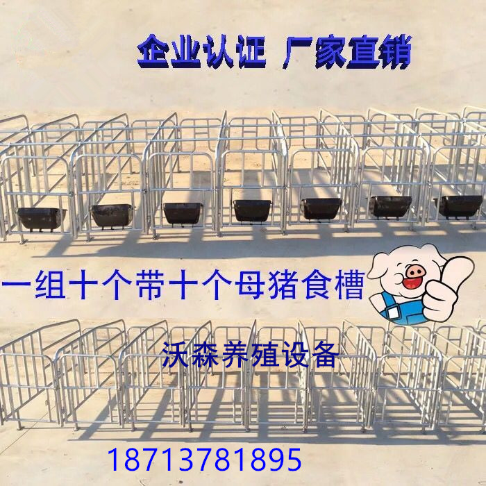 廠家直銷 母豬定位欄 限位欄 豬用限位欄 一組十豬位 養(yǎng)豬設備齊全