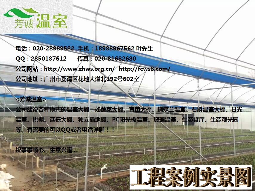 鐵皮石斛貯藏，建石斛大棚聯(lián)系芳誠，廣東大棚廠家。石斛大棚種植
