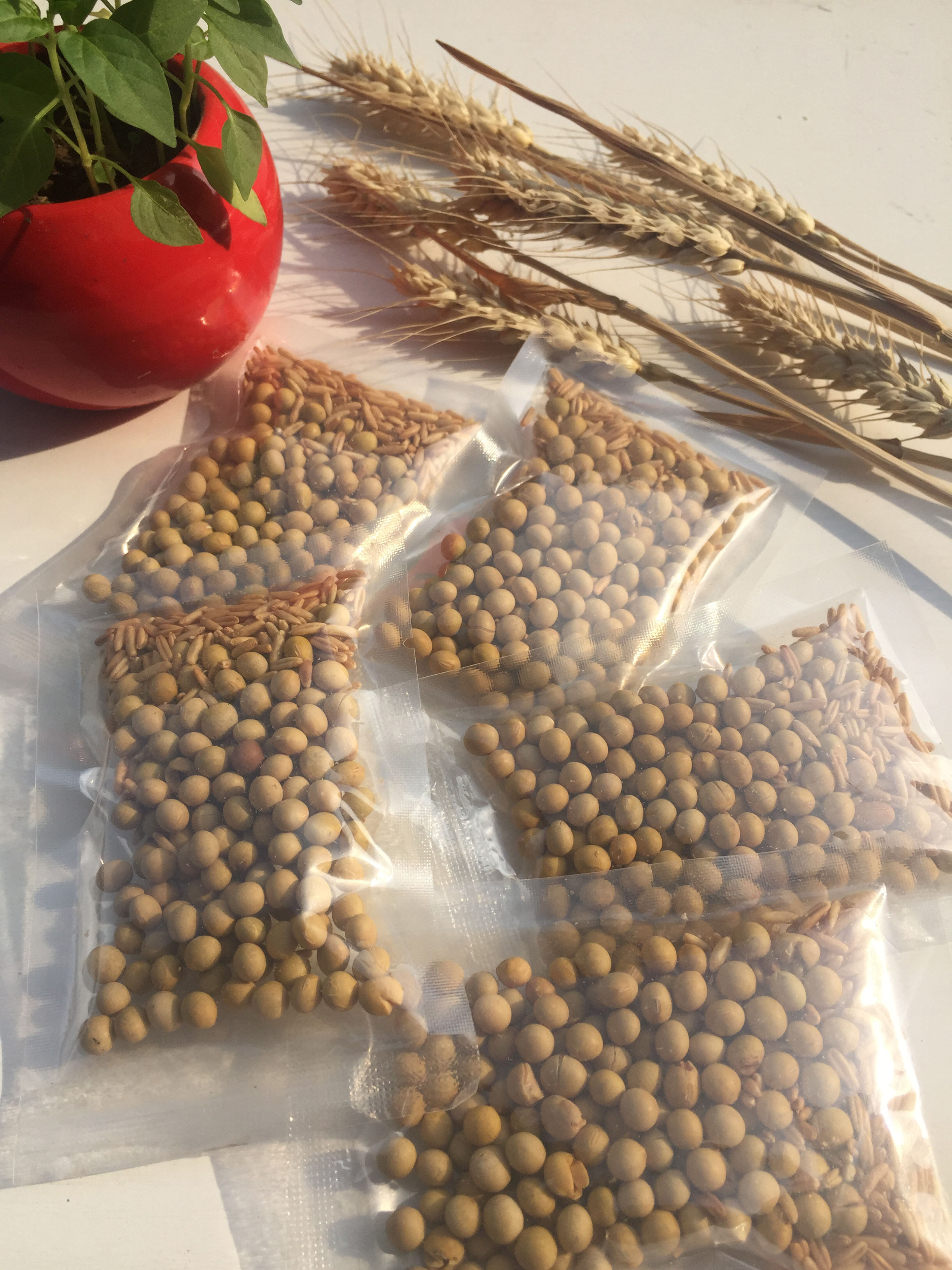 供應現磨五谷豆?jié){原料0.55元，現磨五谷豆?jié){原料供應商，廠家批發(fā)