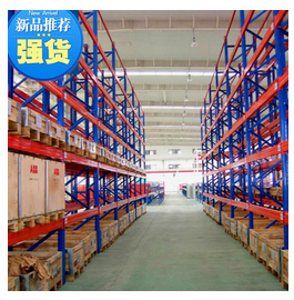 貨架直銷(xiāo) 貨托盤(pán)式貨架供貨商 托盤(pán)式貨架批發(fā)價(jià)格 托盤(pán)式貨架廠商