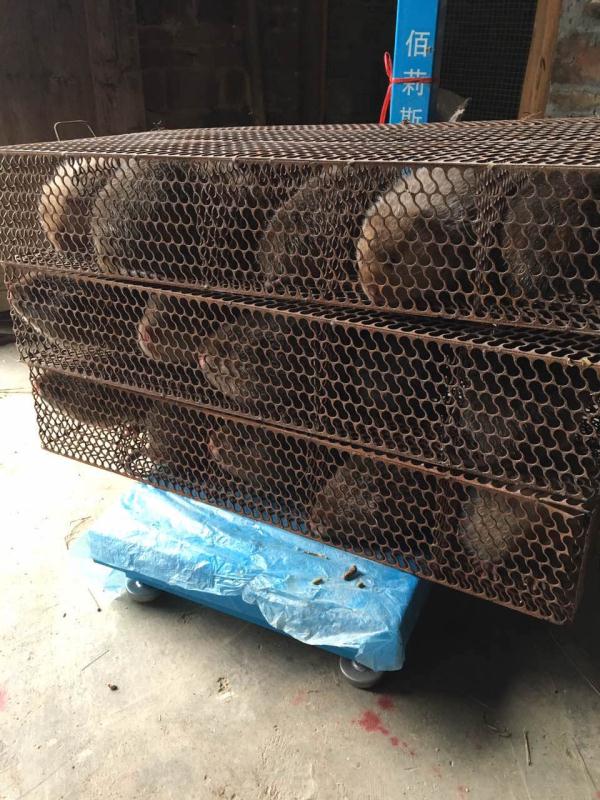 湛江* *養(yǎng)殖