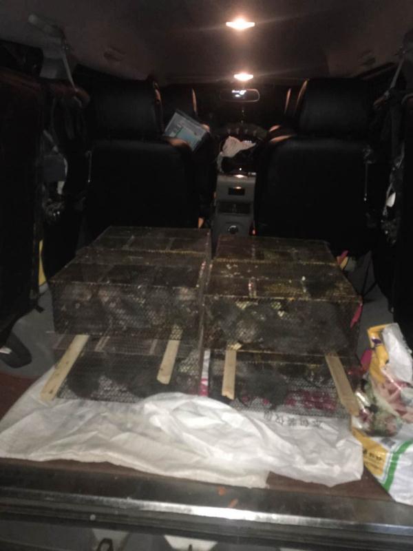 湛江* *養(yǎng)殖