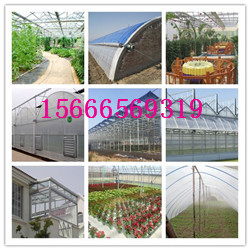 PC陽光板溫室大棚