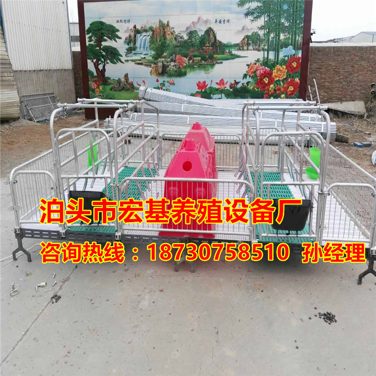 優(yōu)質(zhì)的母豬鑄鐵產(chǎn)床的尺寸有哪些 普通產(chǎn)床的價(jià)格有哪些 優(yōu)質(zhì)的雙體豬產(chǎn)床報(bào)價(jià)泊頭宏基