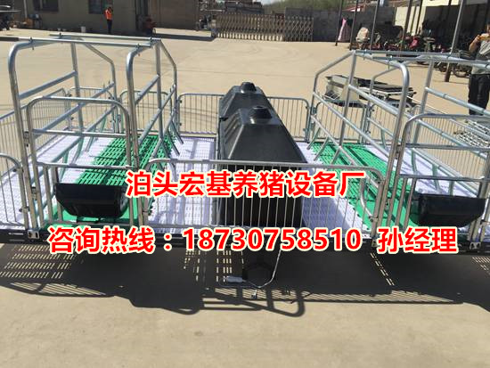 優(yōu)質(zhì)的復合板產(chǎn)床的價格豬產(chǎn)床2100*3600雙體豬產(chǎn)床廠家報價 泊頭宏基