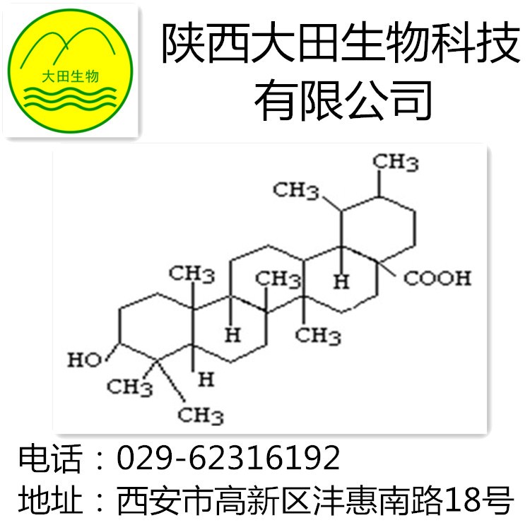 優(yōu)質(zhì)熊果酸提取物 抗?jié)兗敖档脱?供應(yīng)熊果酸提取物98%