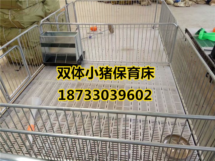 雙體小豬保育床崽豬保育欄宏基養(yǎng)殖設(shè)備廠家質(zhì)優(yōu)價(jià)廉