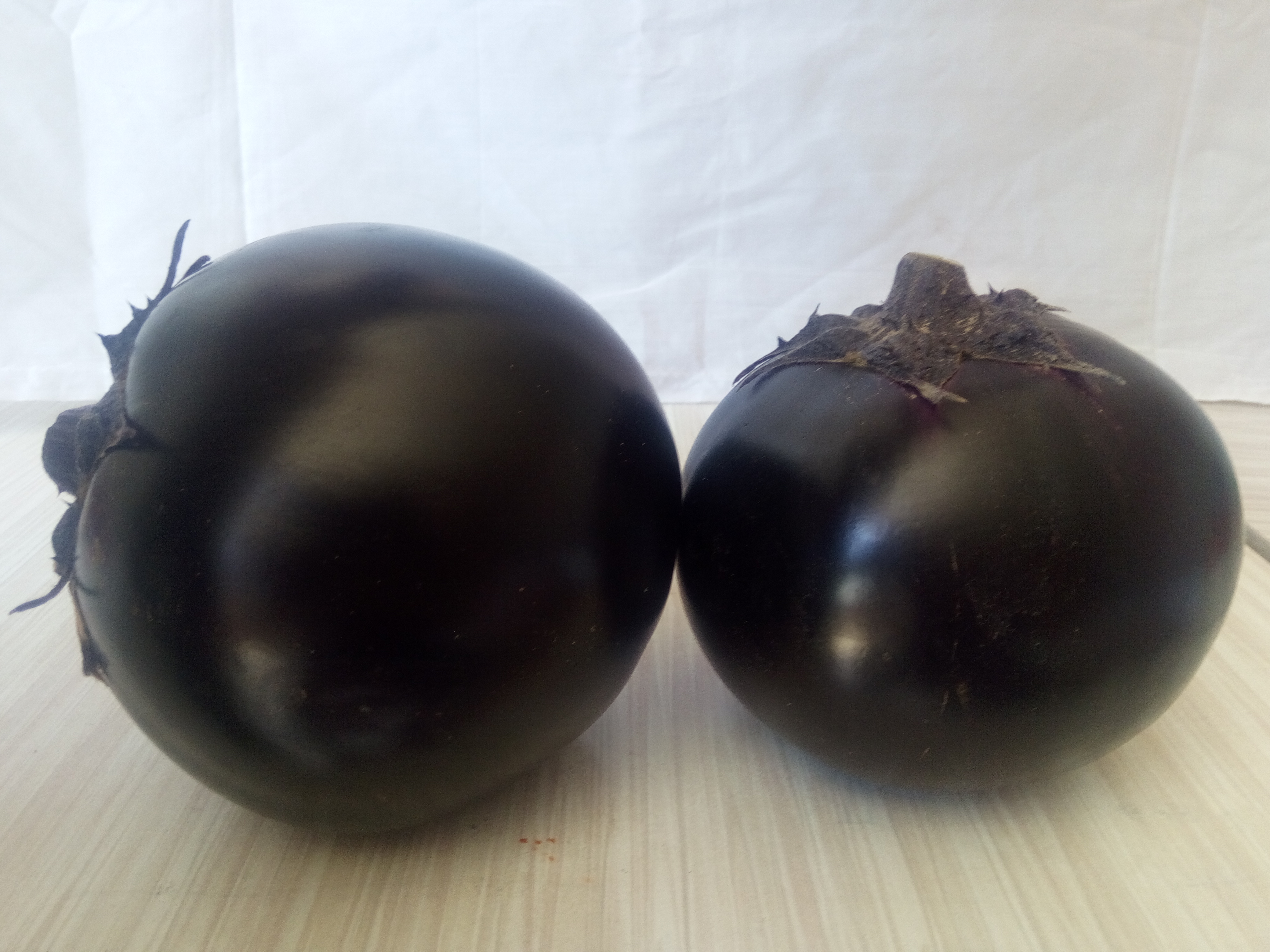 元寶山區(qū)西紅柿種植銷售   蔬菜種植銷售