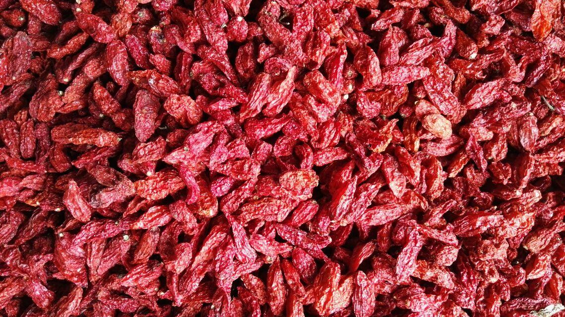 供應(yīng)洋參烘干機|云南辣椒王熱泵烘干機