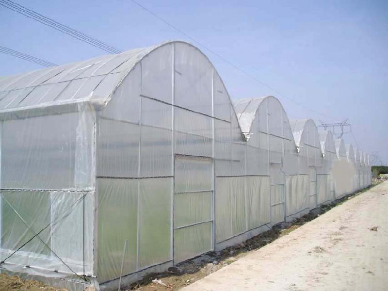河北邯鄲溫室大棚、蔬菜溫室大棚施 河北邯鄲溫室大棚蔬菜大棚安裝