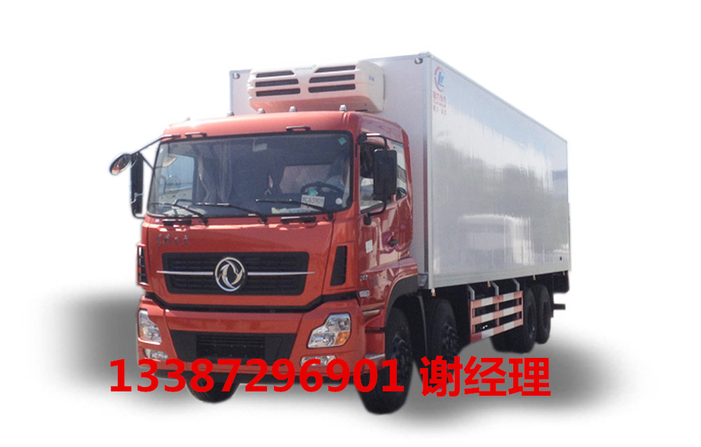 東風(fēng)*冷藏車(chē)/冷藏車(chē)價(jià)格/廠家直銷(xiāo)/大型冷藏車(chē)/