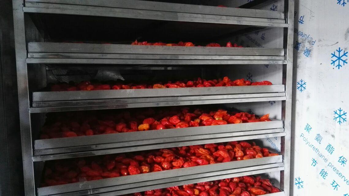 億思?xì)W節(jié)能科技，專業(yè)品質(zhì) 【農(nóng)產(chǎn)品*熱泵】辣椒烘干機(jī)訂購