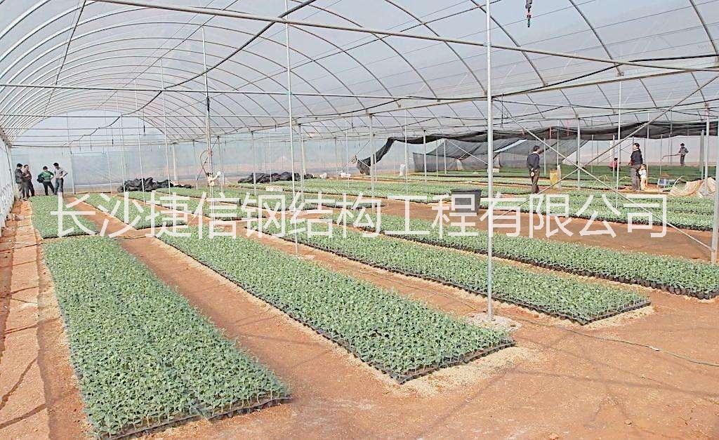 湖南長(zhǎng)沙溫室大棚廠家 長(zhǎng)沙溫室大棚建設(shè) 溫室大棚供貨商