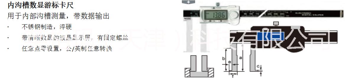 天津雙內(nèi)爪數(shù)顯游標(biāo)卡尺廠(chǎng)家  內(nèi)溝槽數(shù)顯游標(biāo)卡尺價(jià)格