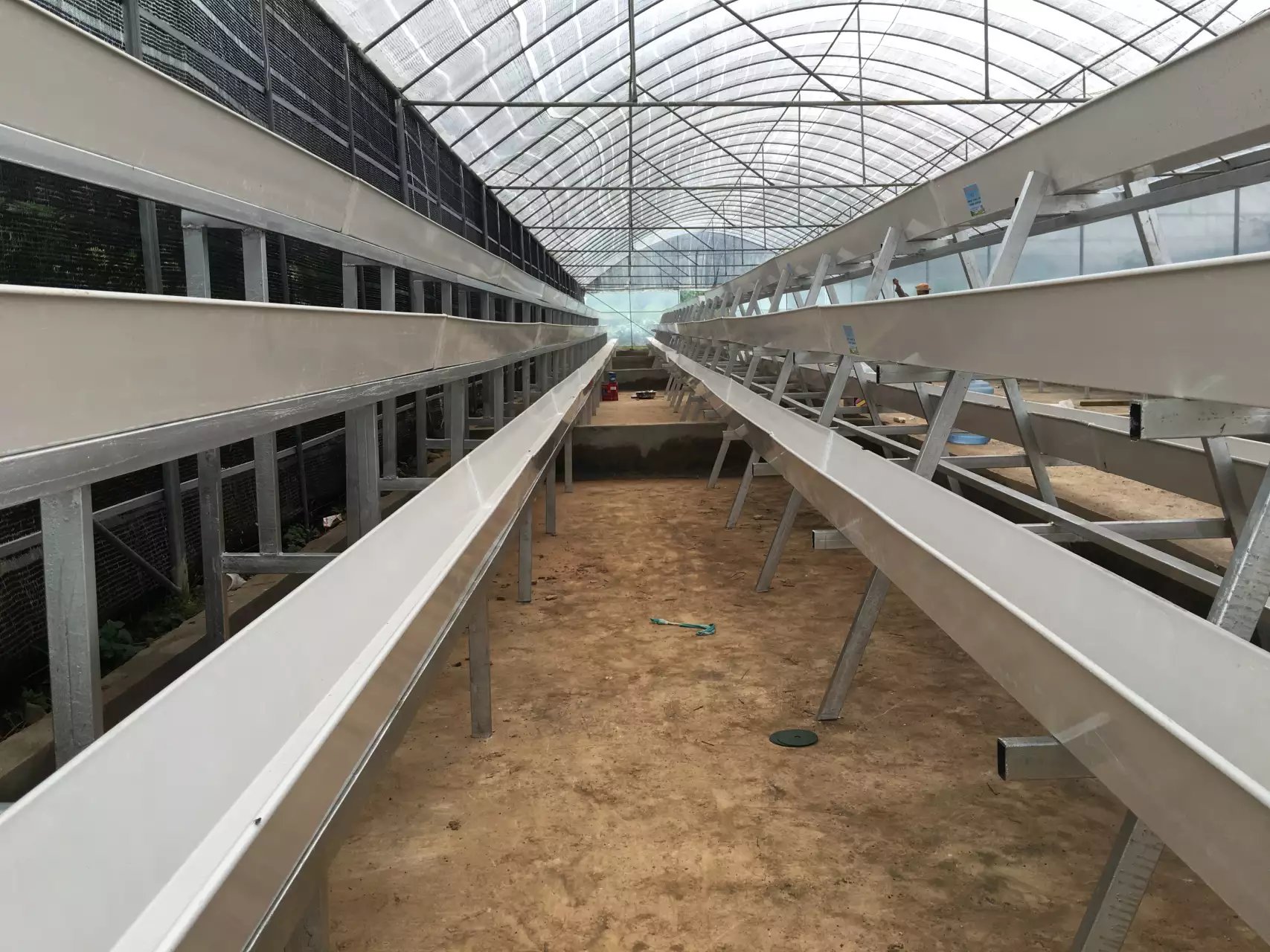 草莓立體式種植槽