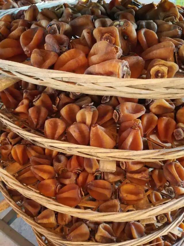 整體式熱泵高溫烘干除濕機(jī)設(shè)備供應(yīng)