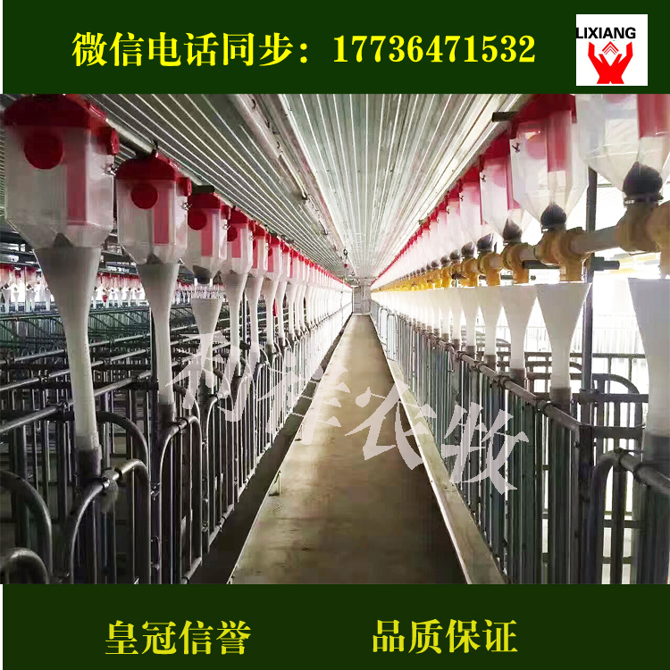 養(yǎng)殖養(yǎng)豬自動(dòng)料線利祥農(nóng)牧養(yǎng)豬設(shè)備廠專業(yè)設(shè)計(jì)生產(chǎn)