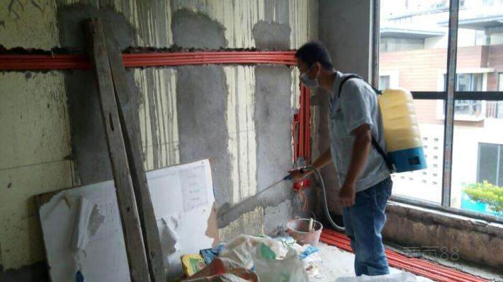 深圳專業(yè)白蟻預(yù)防公司 深圳害蟲(chóng)防治服務(wù)價(jià)格 深圳專業(yè)殺蟲(chóng)滅鼠服務(wù)電話