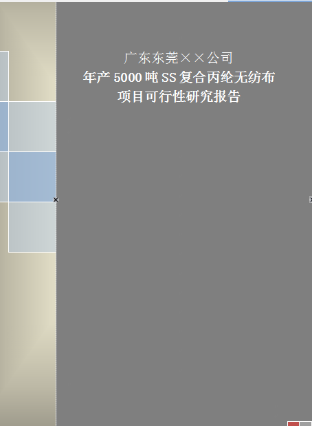無(wú)紡布項(xiàng)目可行性研究報(bào)告