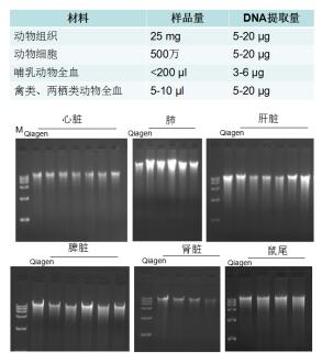 同科生物基因組DNA小量提取試劑盒價格,報價