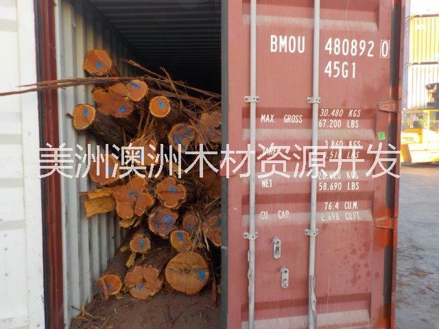 澳洲酸枝 一手貨源 提單現(xiàn)貨