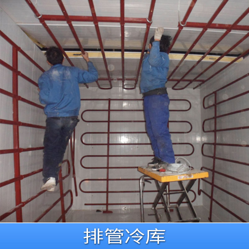 廠家直銷(xiāo)冷凍庫(kù) 冷凍房 冷凍室 倉(cāng)儲(chǔ)冷庫(kù) 排管冷庫(kù) 冷庫(kù)定做批發(fā)